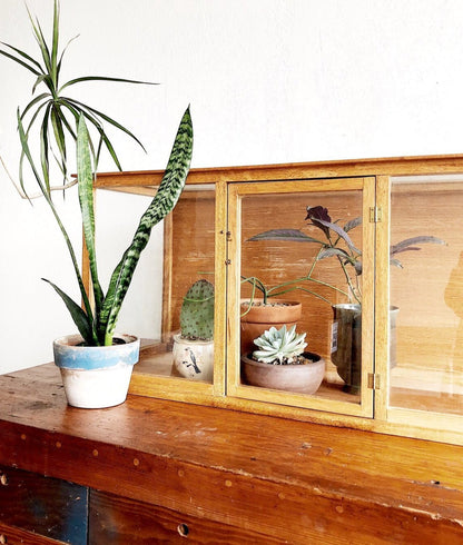 Vintage Glass and Wood Display Case