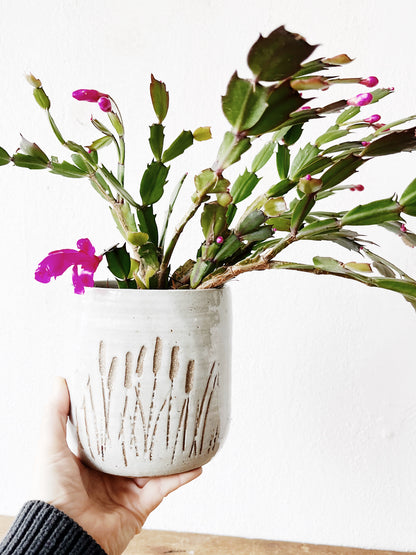 Christmas Cactus in Vintage Pottery