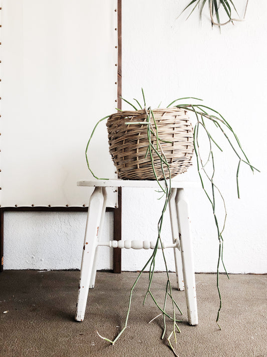 Vintage Rustic Low Stool