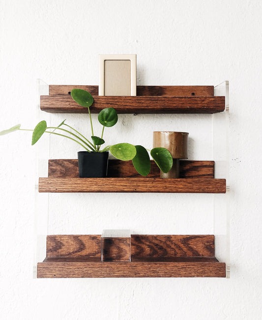 Vintage Lucite and Wood Shelf
