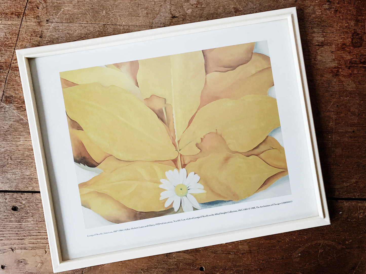 Vintage Framed Georgia O’keeffe Museum Print