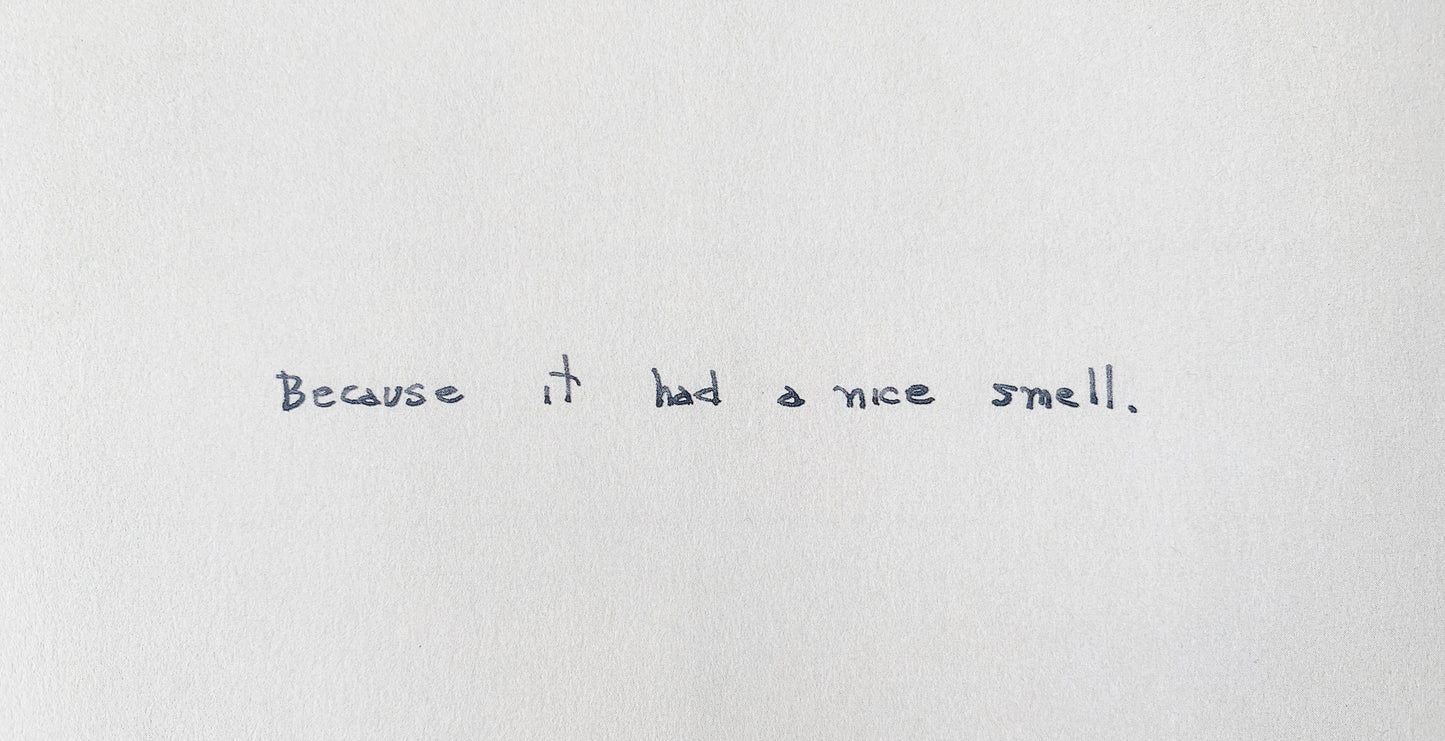 Yoko Ono : An Invisible Flower