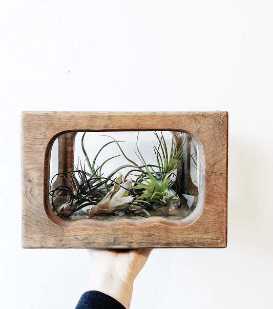 Antique Wood and Glass Terrarium