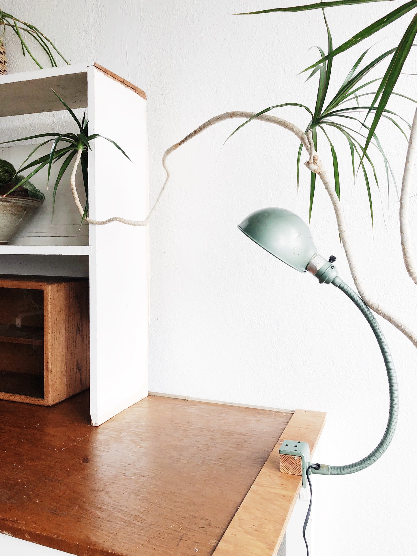 Vintage Industrial Task Lamp