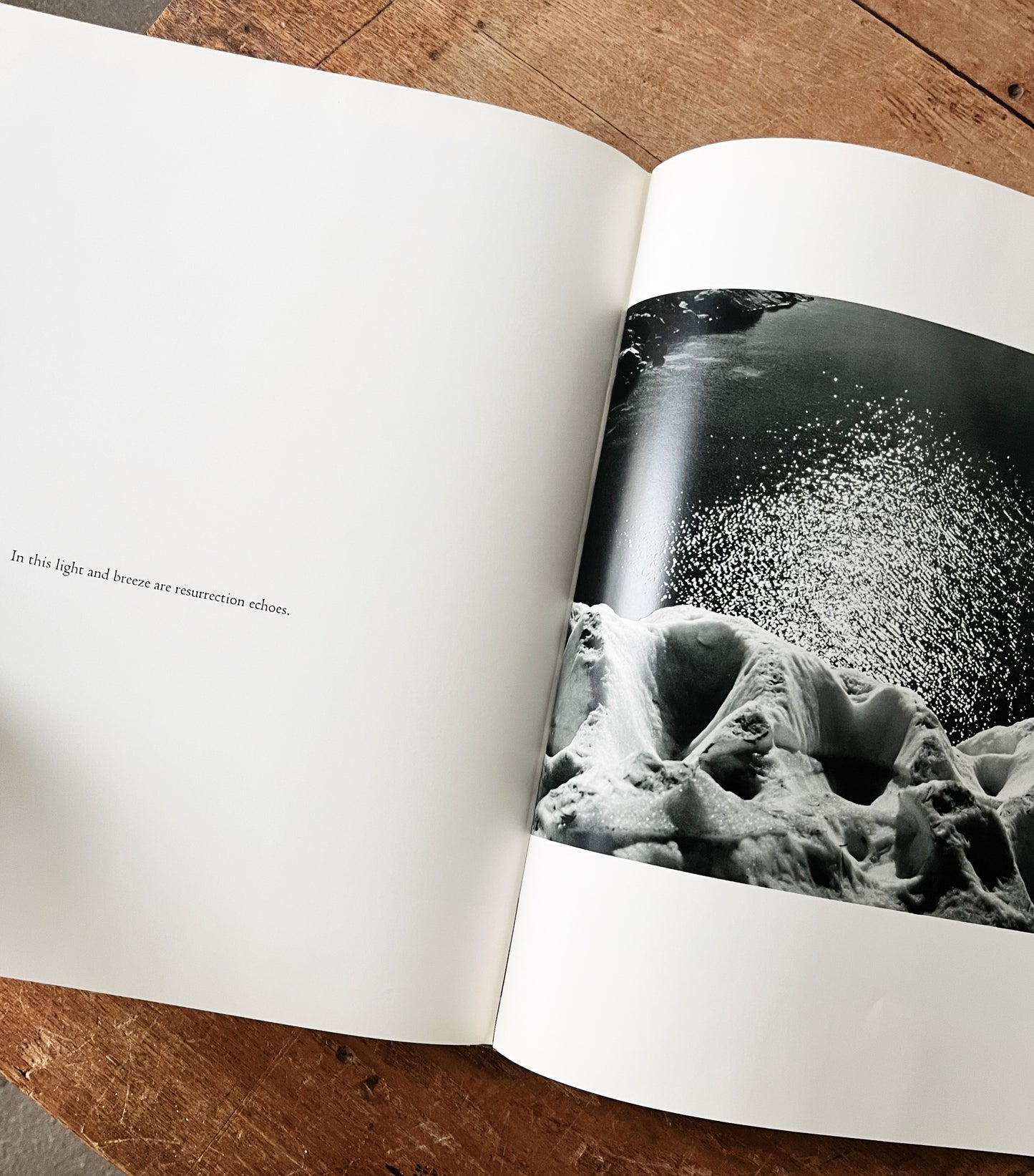 Vintage Words of the Earth Book