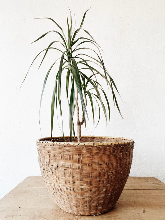 Large Vintage Basket