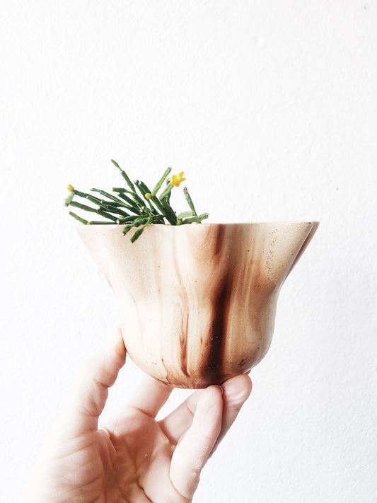 Vintage Grand Canyon Pottery