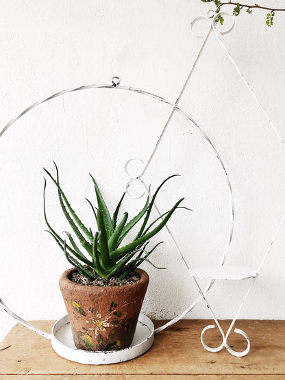 Oversized Vintage Plant Hangers