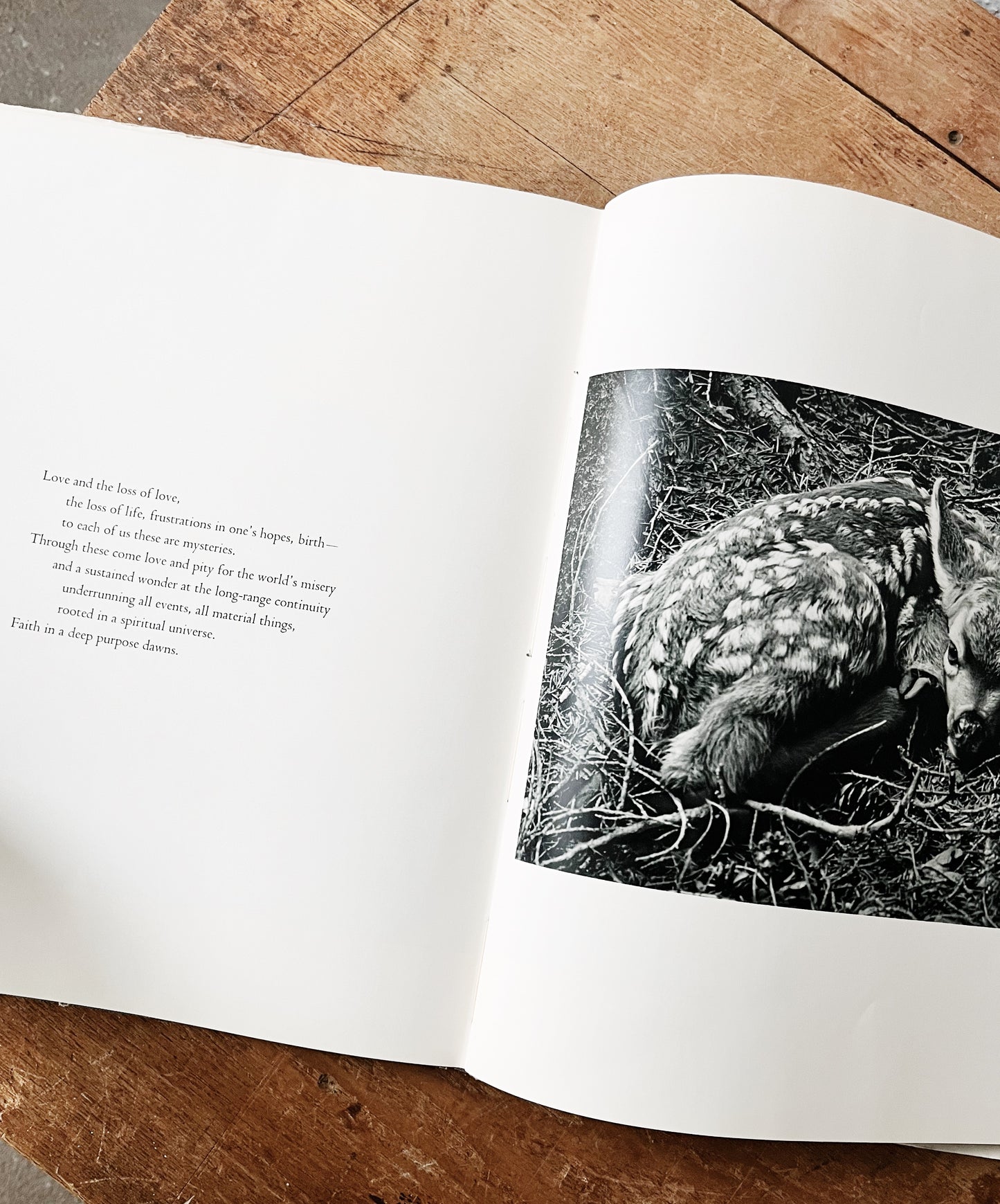 Vintage Words of the Earth Book