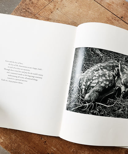 Vintage Words of the Earth Book