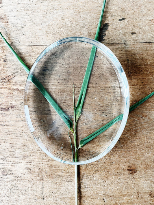 Vintage Glass Paper Weight