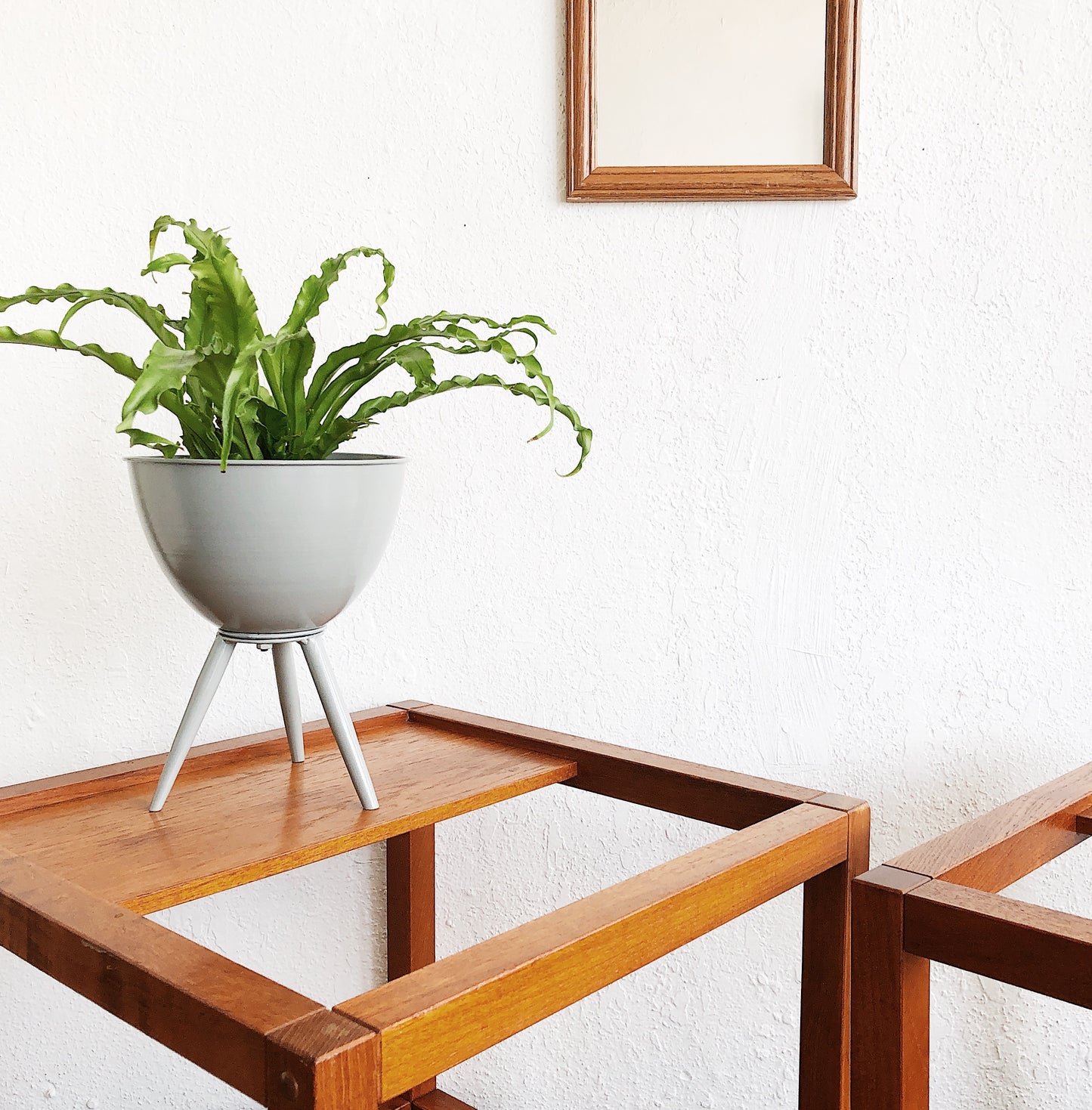 Vintage Melting Pot Planter with or without Plant