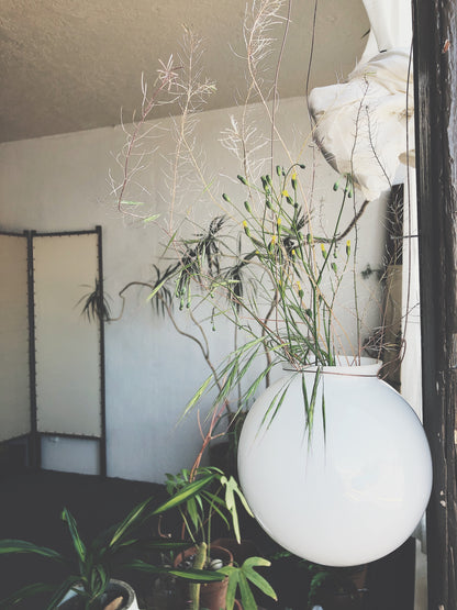 Vintage Globe Hanging Planter