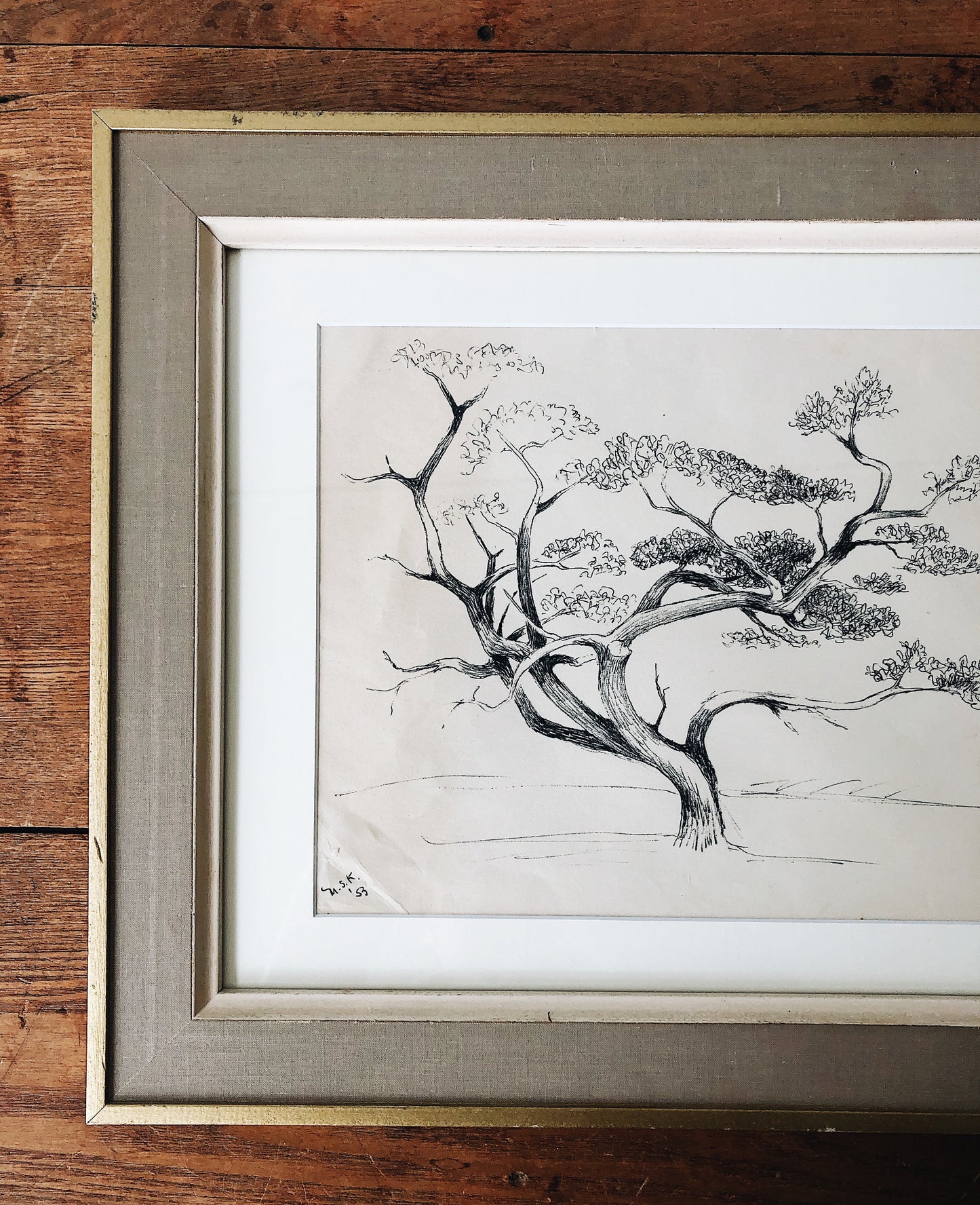 Vintage Original Pen and Ink Drawing - Tree Series