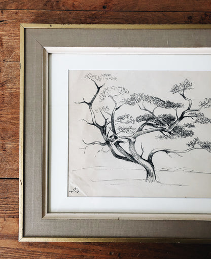 Vintage Original Pen and Ink Drawing - Tree Series