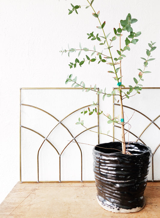Vintage Leaded Brass Window - single