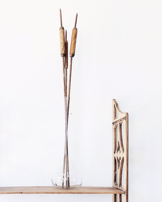 Vintage Wooden Cattails in Laboratory Glass