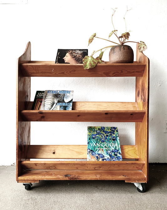 Vintage Rolling Wood Bookcase