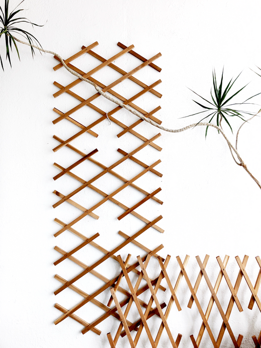 Vintage Expanding Grate