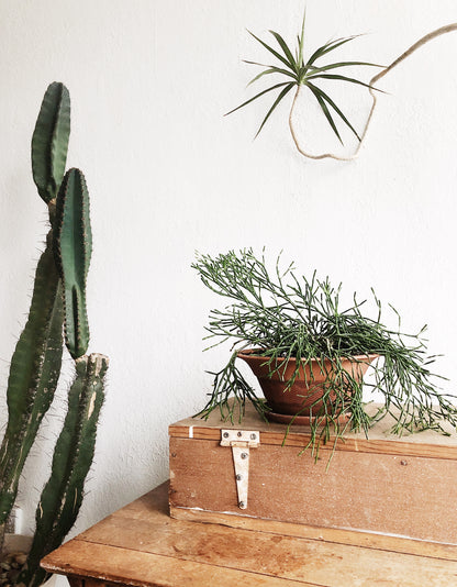 Vintage Handmade Tool Trunk