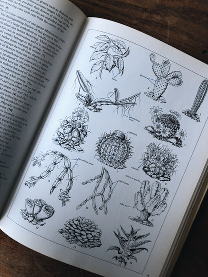 Vintage Houseplant and Cacti Book