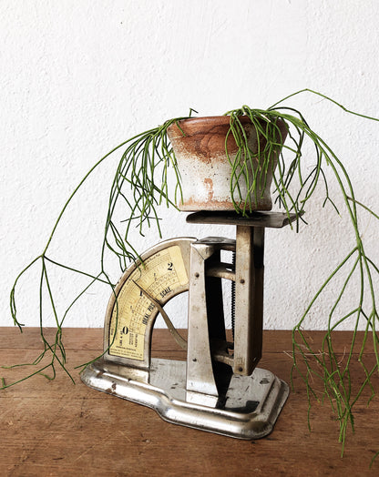 Vintage Postal Scale