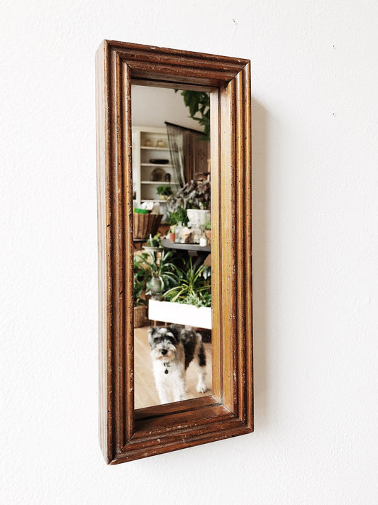 Petite Oblong Mirror