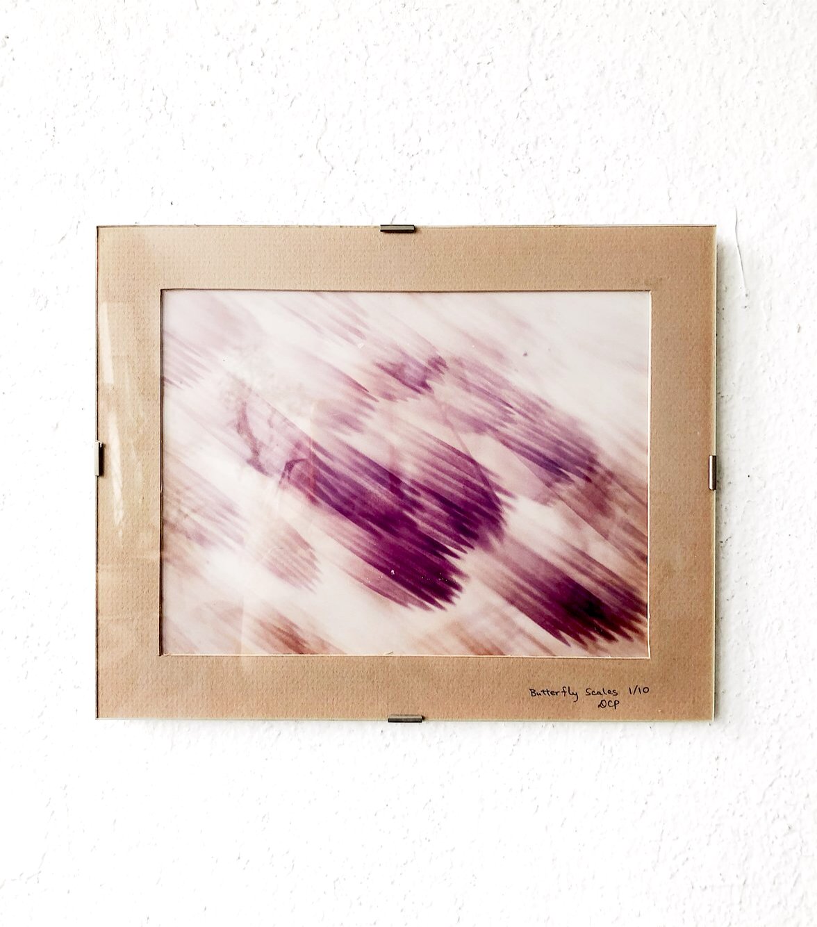 Vintage Original Film Photo