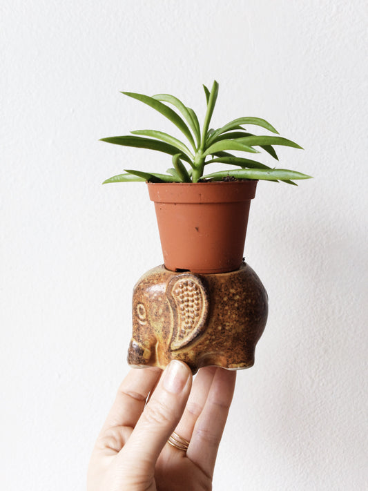 Vintage Ceramic Elephant