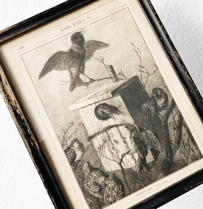 Antique Avian Lithograph
