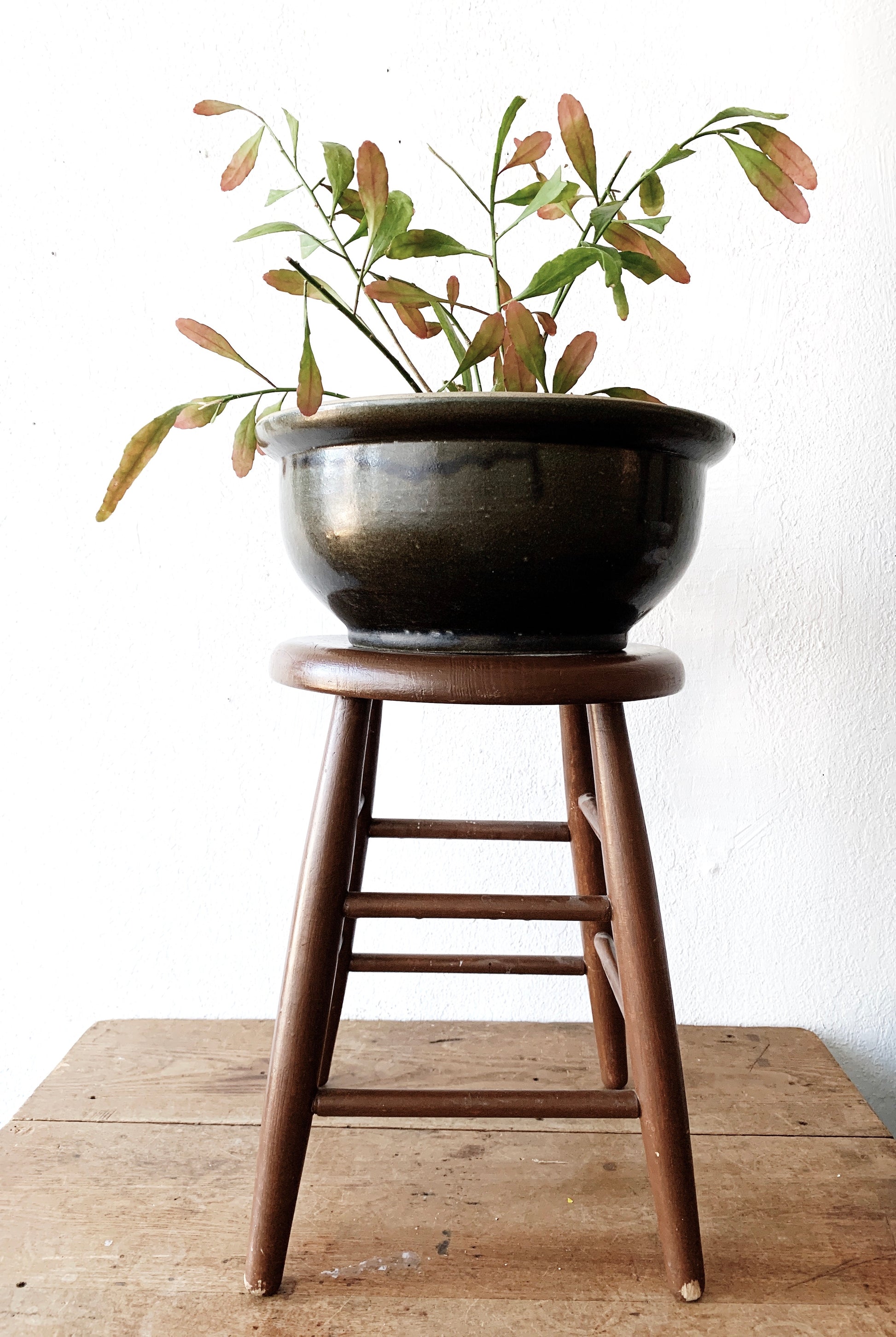 stool for plant pot Vintage Wood Stool / Plant Stand – Maven Collective