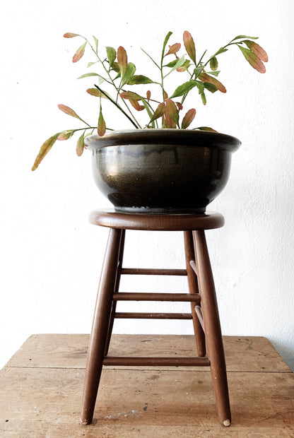 Vintage Wood Stool / Plant Stand