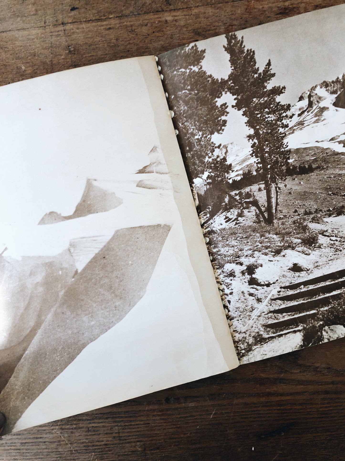 Vintage Mount Hood Anthology