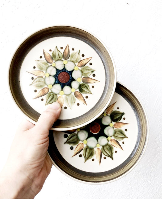 Pair of Mid Century English Plates