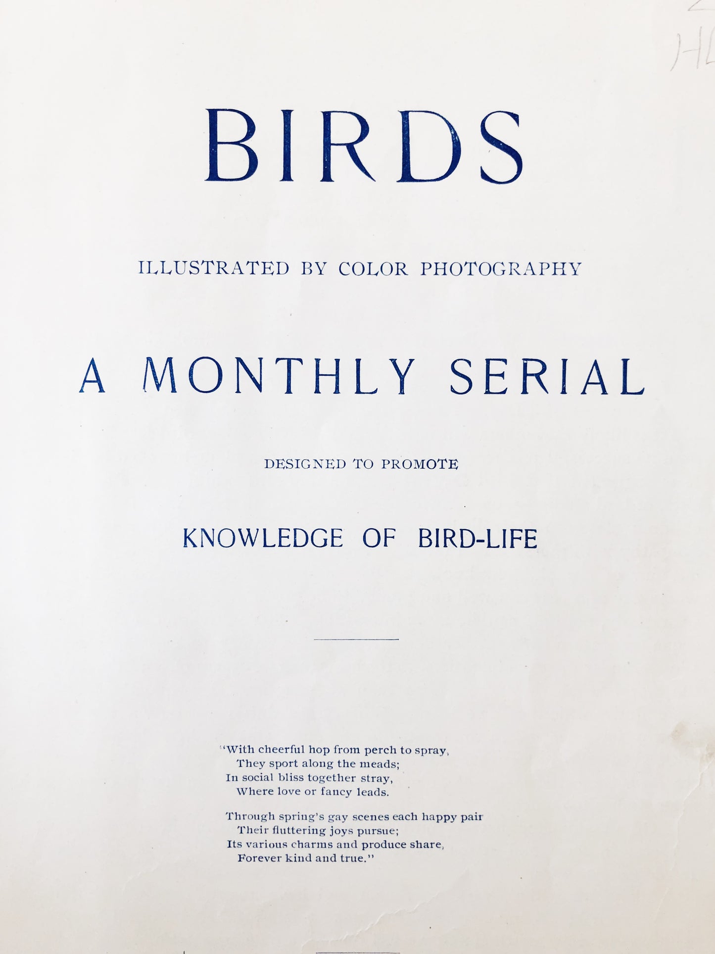 Antique 1800s Birds Book