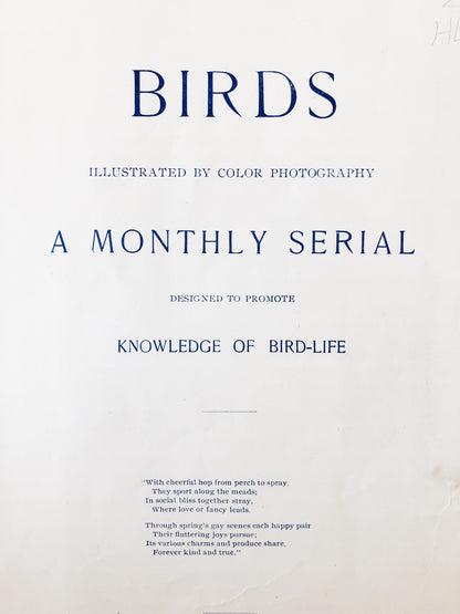 Antique 1800s Birds Book