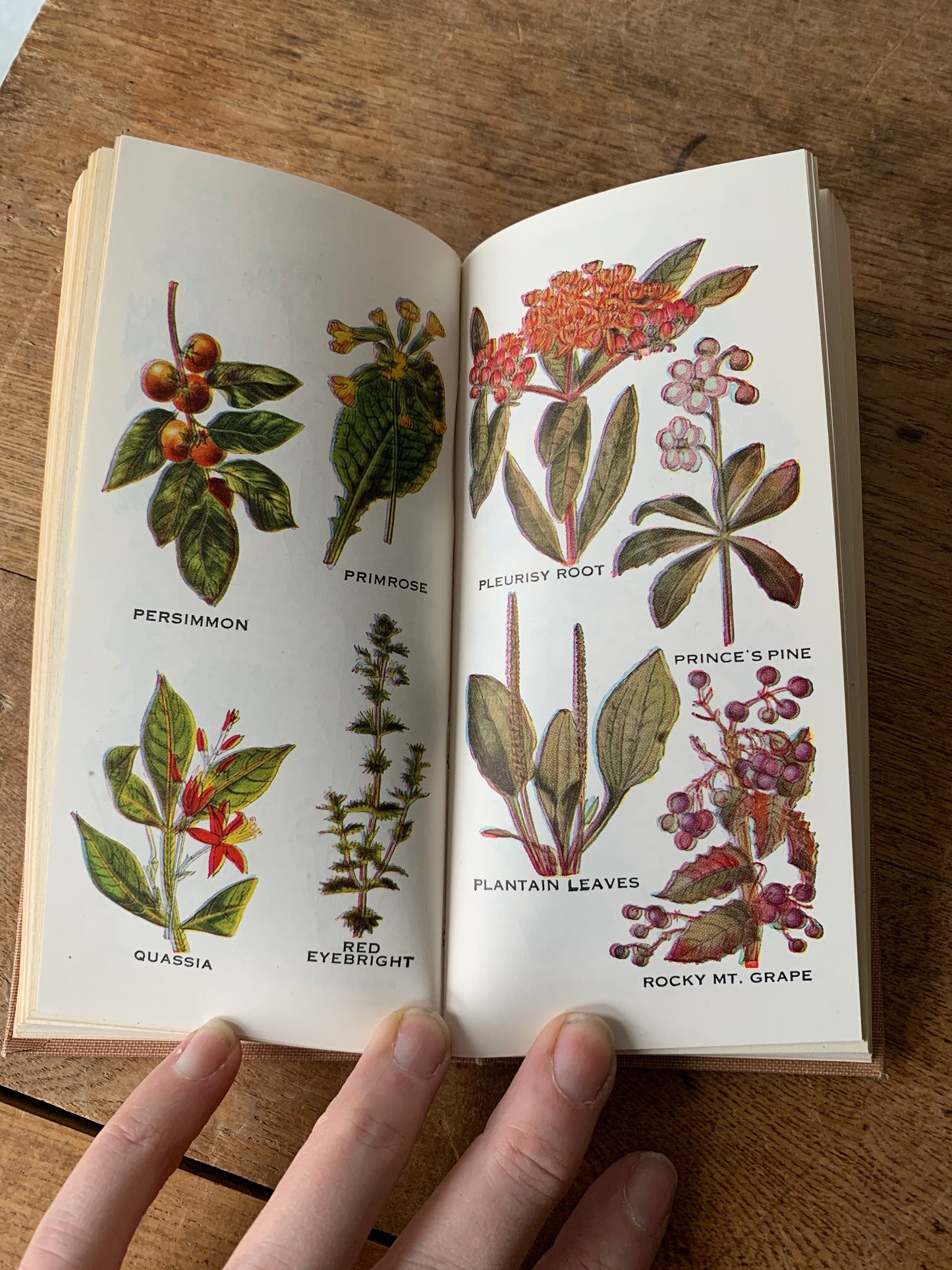 First Edition Antique Herbalist Book Collection