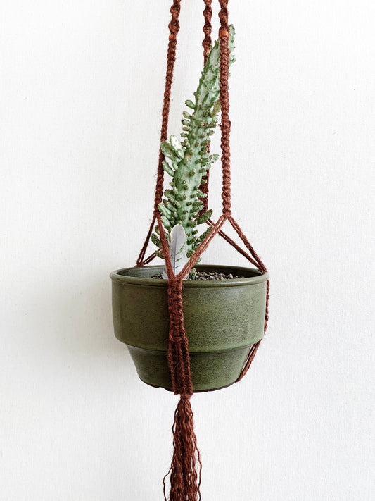 Vintage Jute Macrame Plan Hanger