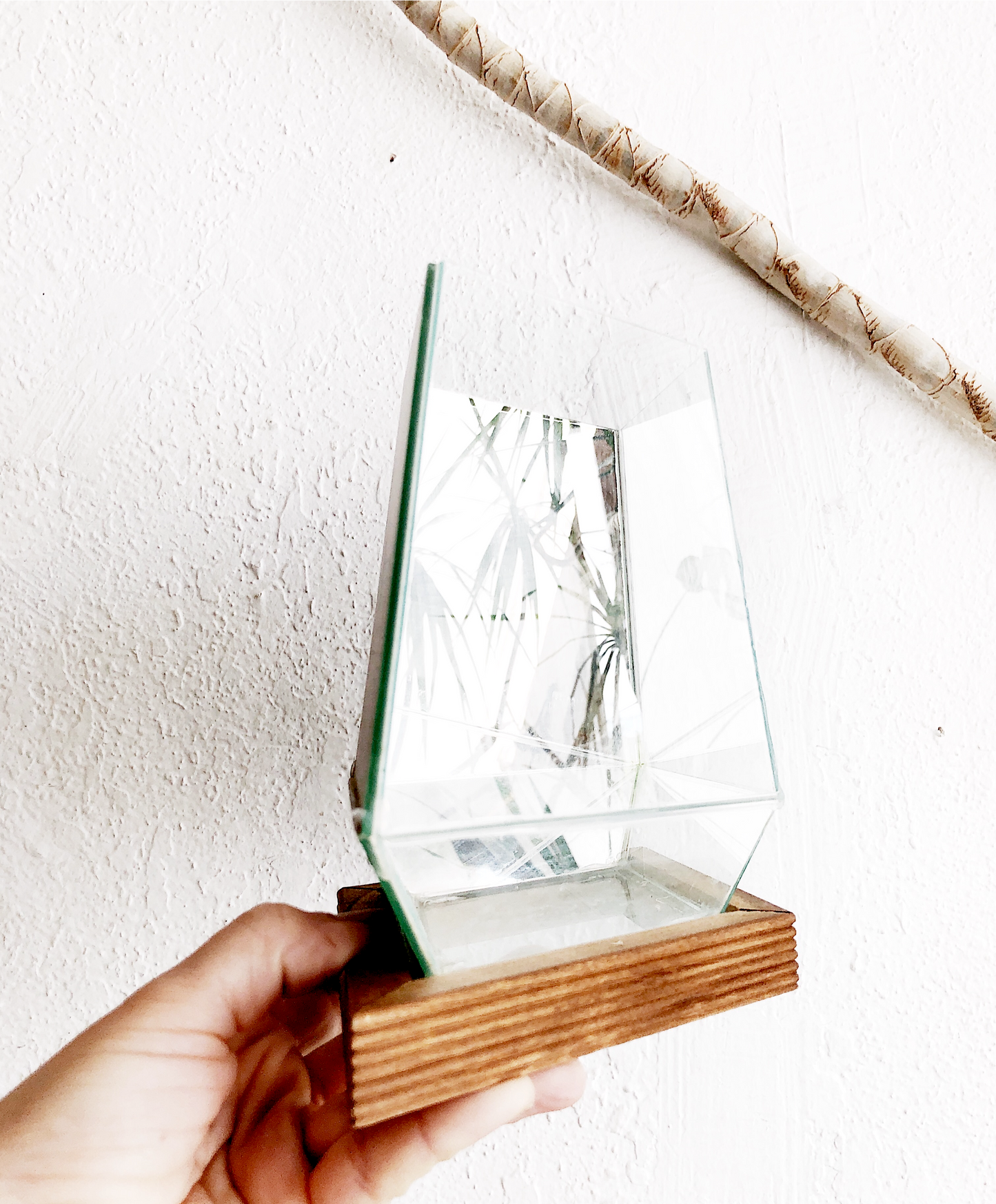 Mirrored Glass Terrarium