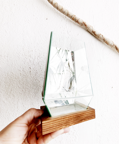 Mirrored Glass Terrarium