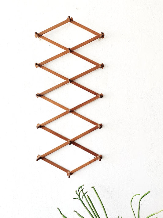 Large Vintage Expanding Peg Rack