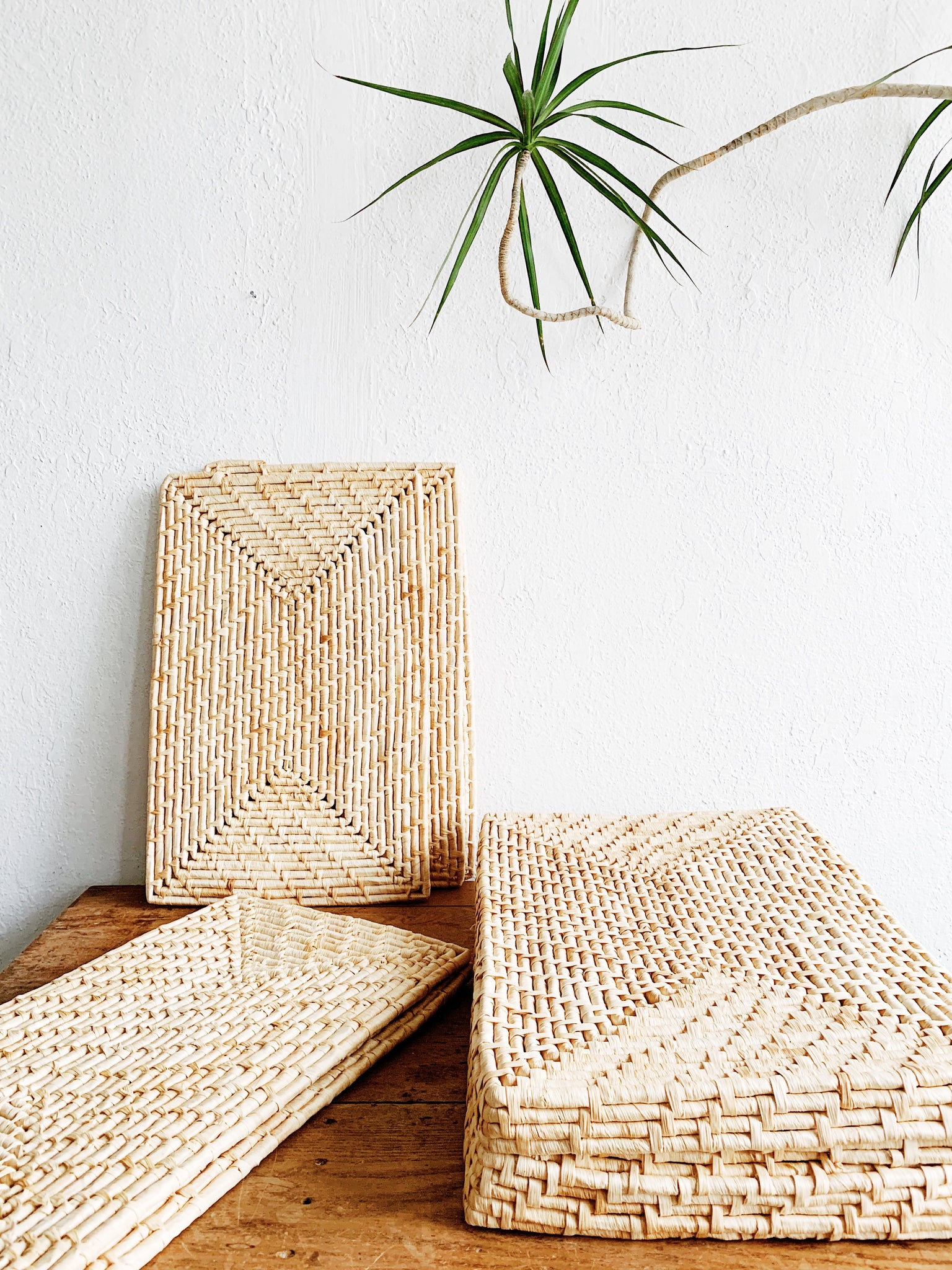 Set of Woven Placemats