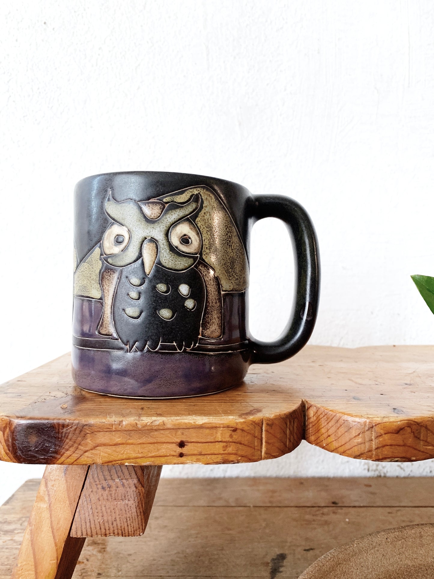Large Vintage Mara of Mexico Mug