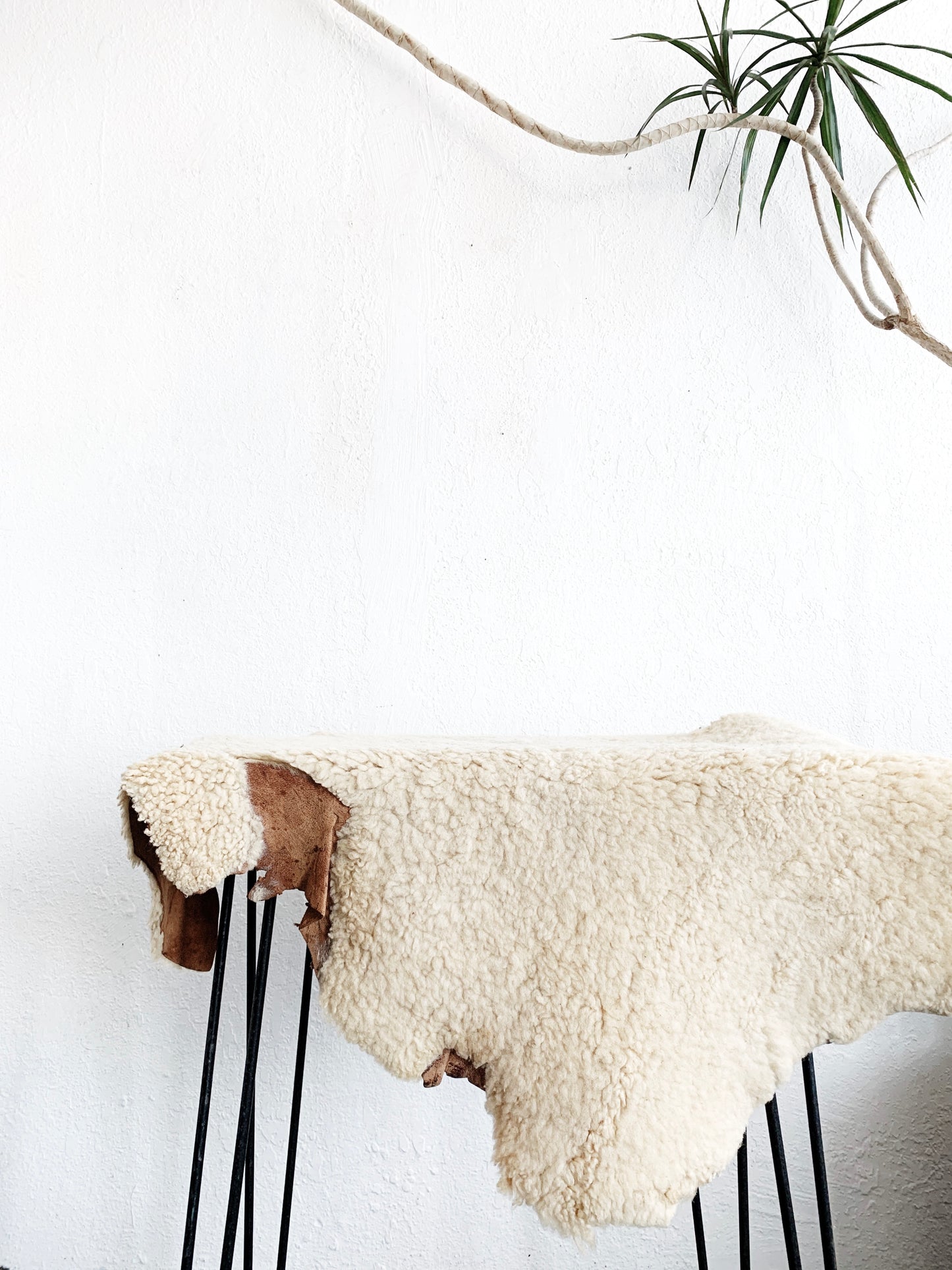 Vintage Sheepskin