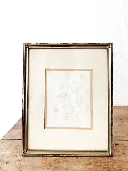 Vintage Golden Poppy Etching