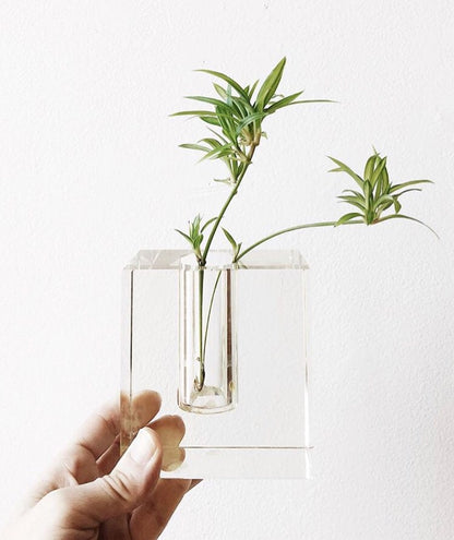 Modern Glass Propagation Vase