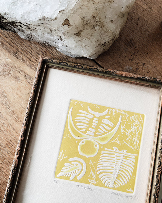 Vintage Trilobites Etching