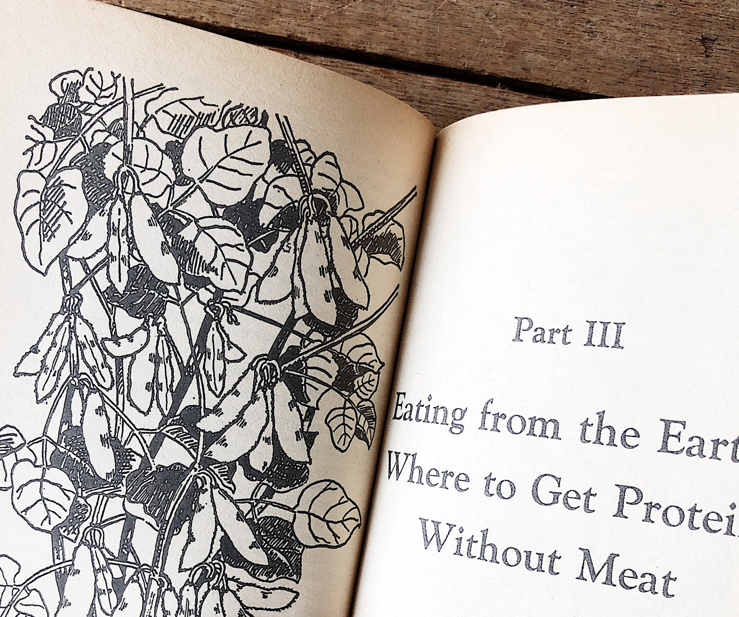 Vintage Paperback