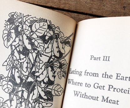 Vintage Paperback