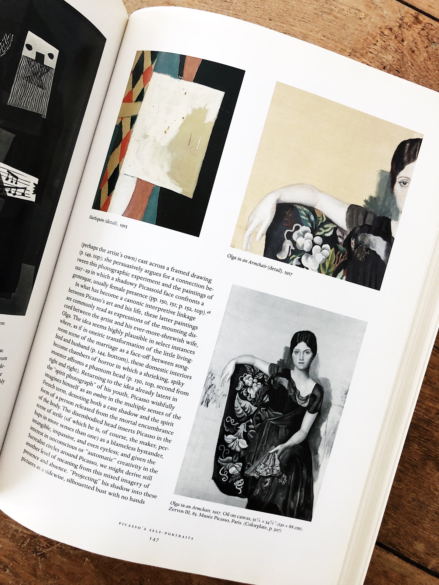 Picasso and Portraiture Book